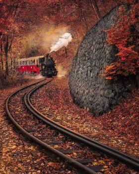 Autumn Express In Hungary