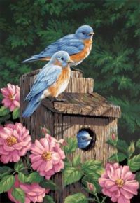 Birds and Bird House