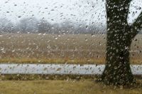 Rainy Day