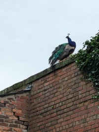 heaton park 01