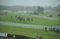 Horse race Near Kenmare, Ireland 2010