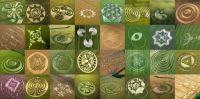 Photos Of Crop Circles!