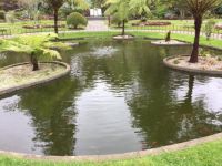 Pond in the botanical garden in Angra do Heroismo, Terceira, Azores, Portugal