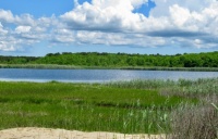 Flat Pond