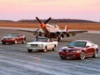 Family of Mustangs