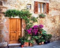 Wooden Door #3