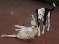Friends