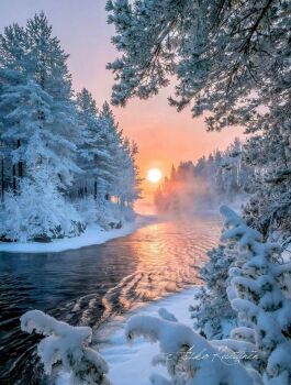 Beautiful Winter Stream