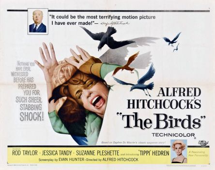 The Birds ~ 1963