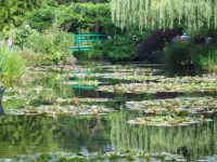 Bridge over Monet's waterlily pond