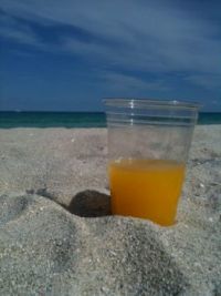only Nin FL