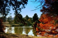 New Zealand