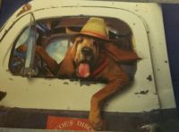 Old Dog Trucking