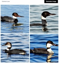 AI-generated image oddities_5: Common Loon