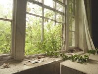 Abandoned Window View