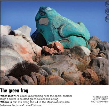 Rock frog