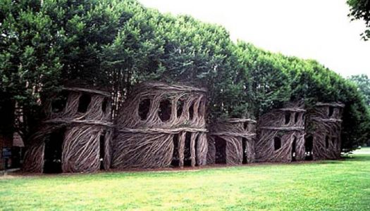 Treehouses 9