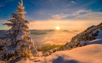 A Winter Sunrise Landscape