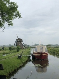 Hollands
