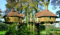 Treehouse 2