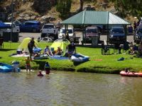 Along the Murray River S.A