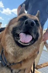 Mr. Funny Face
