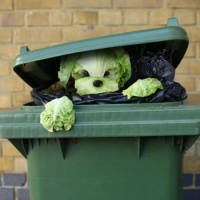 Helga Stentzel - Crunchie the Salad Dog in the trash bin