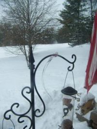 Winter Day in Wisconsin