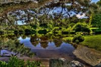 Asticou Gardens 2