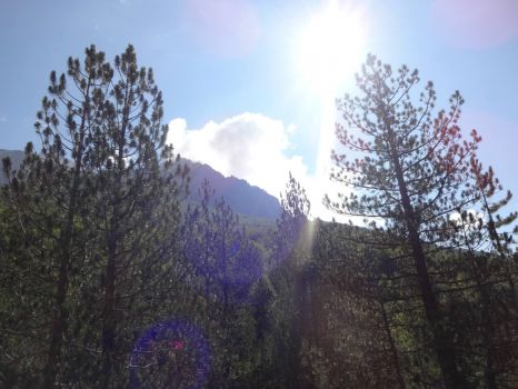 Thethe, Albania (23.08.2015)