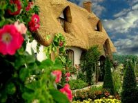 Thatched roof  Cottage Garden