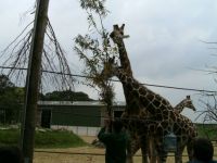 Yorkshire Wildlife Park