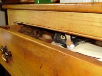 I spy ...