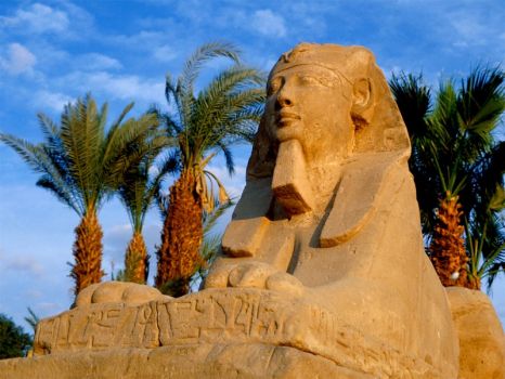 Egypt - Avenue of sphinxes, Luxor