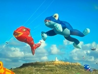 Kite Festival