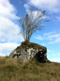This tree is actually growing out of the rock!!!!  Its on the Tyndrum to Glencoe road at Rannoch Moor.