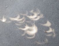 Shadows of the Solar Eclipse