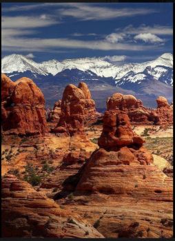 Arches