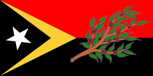 Fun With East Timorese Flags - Ermera - Medium