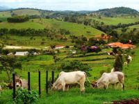 Fazenda