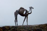 Scrap Metal Camel