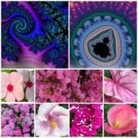 Pinks and fractals