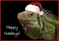 Iguana Wish You the Happiest of Holidays!
