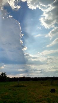 IMG_20170725_174756_629