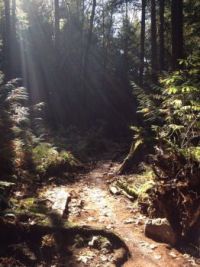 Walk in the woods--Squamish, BC