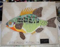 Fish Model Mitch