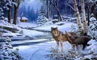 ws_Winter_Wood_Cabin_Wolves_Creek_1920x1200