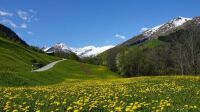 landscape nature spring mountains alpine. Tuor