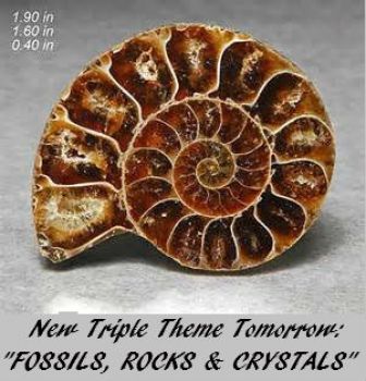New Triple Theme Tomorrow: "FOSSILS, CRYSTALS & ROCKS"  Enjoy