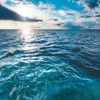 Ocean